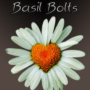 When the Basil Bolts